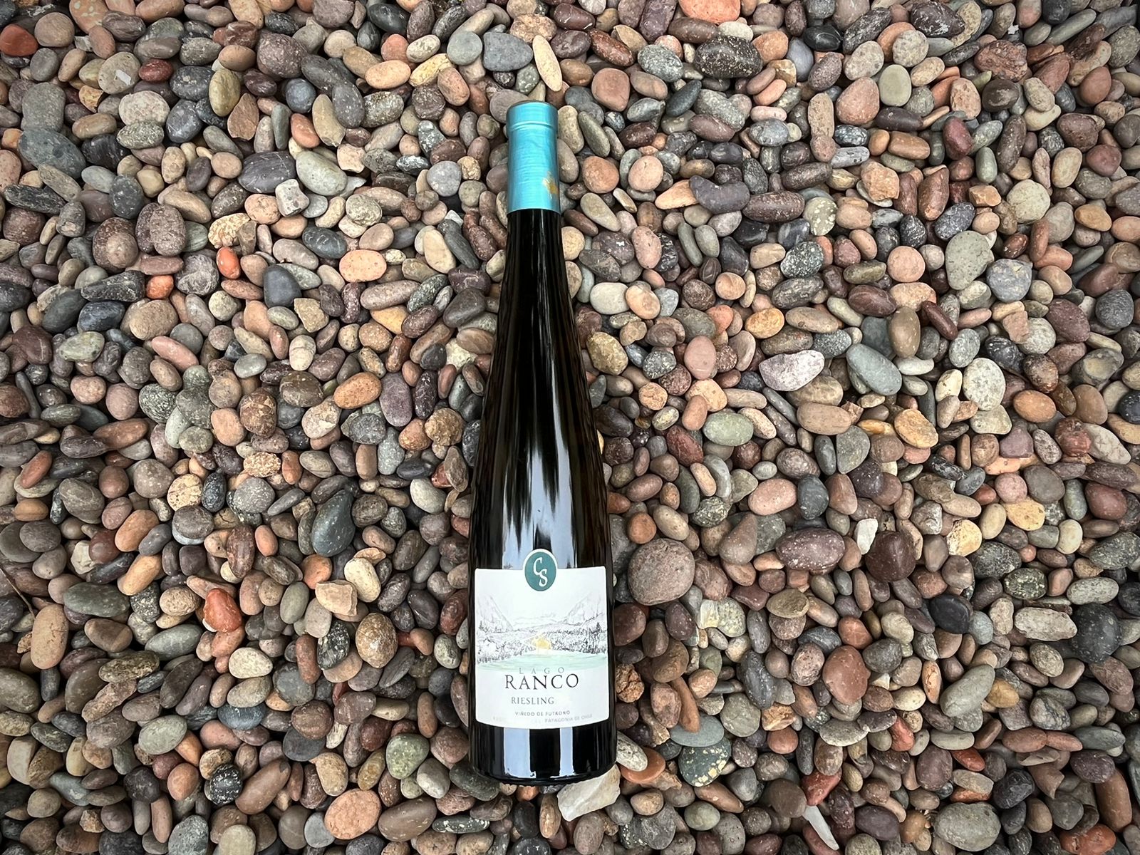 Riesling; Casa Silva, Lago Ranco
