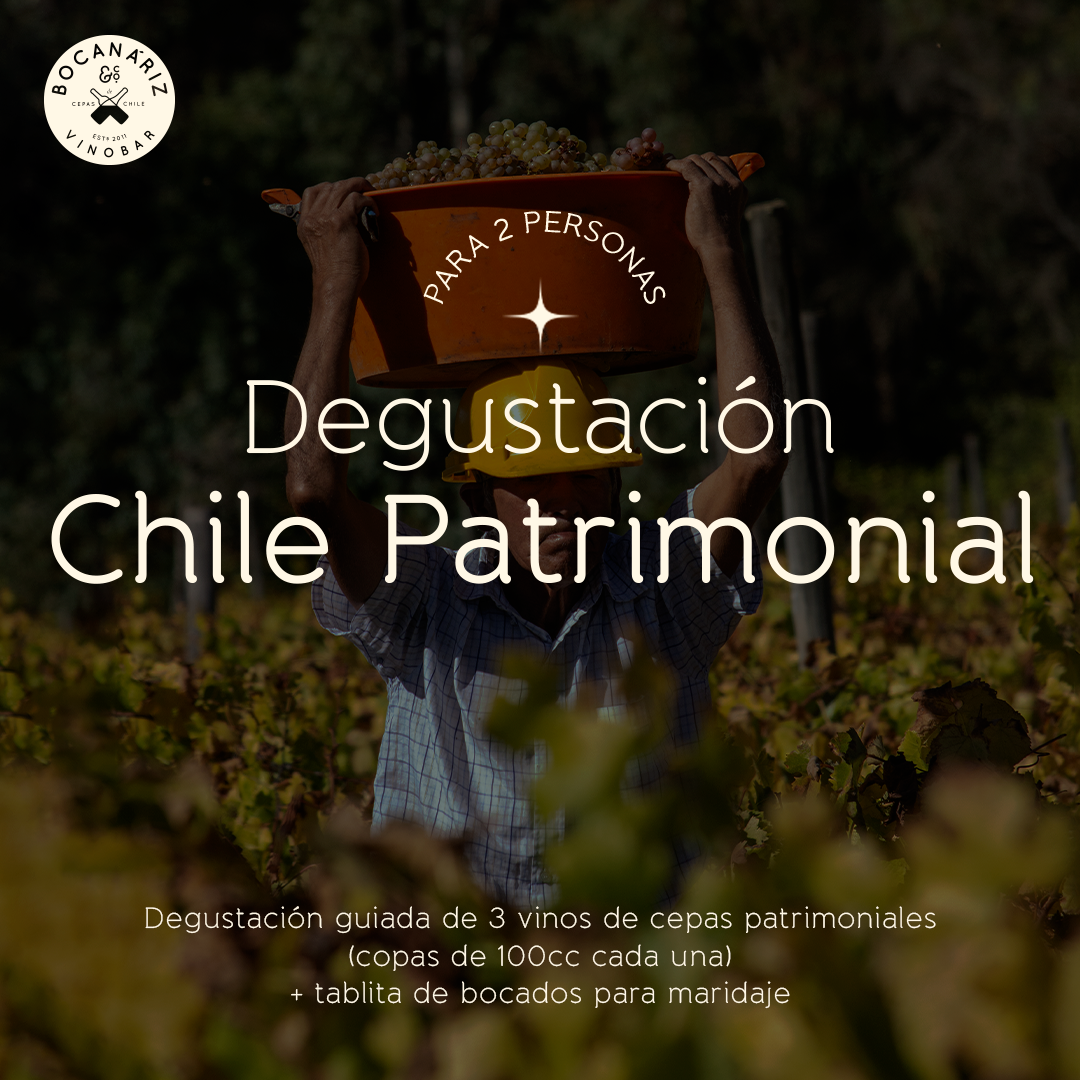 Degustación De Vinos "Chile Patrimonial" Para 2
