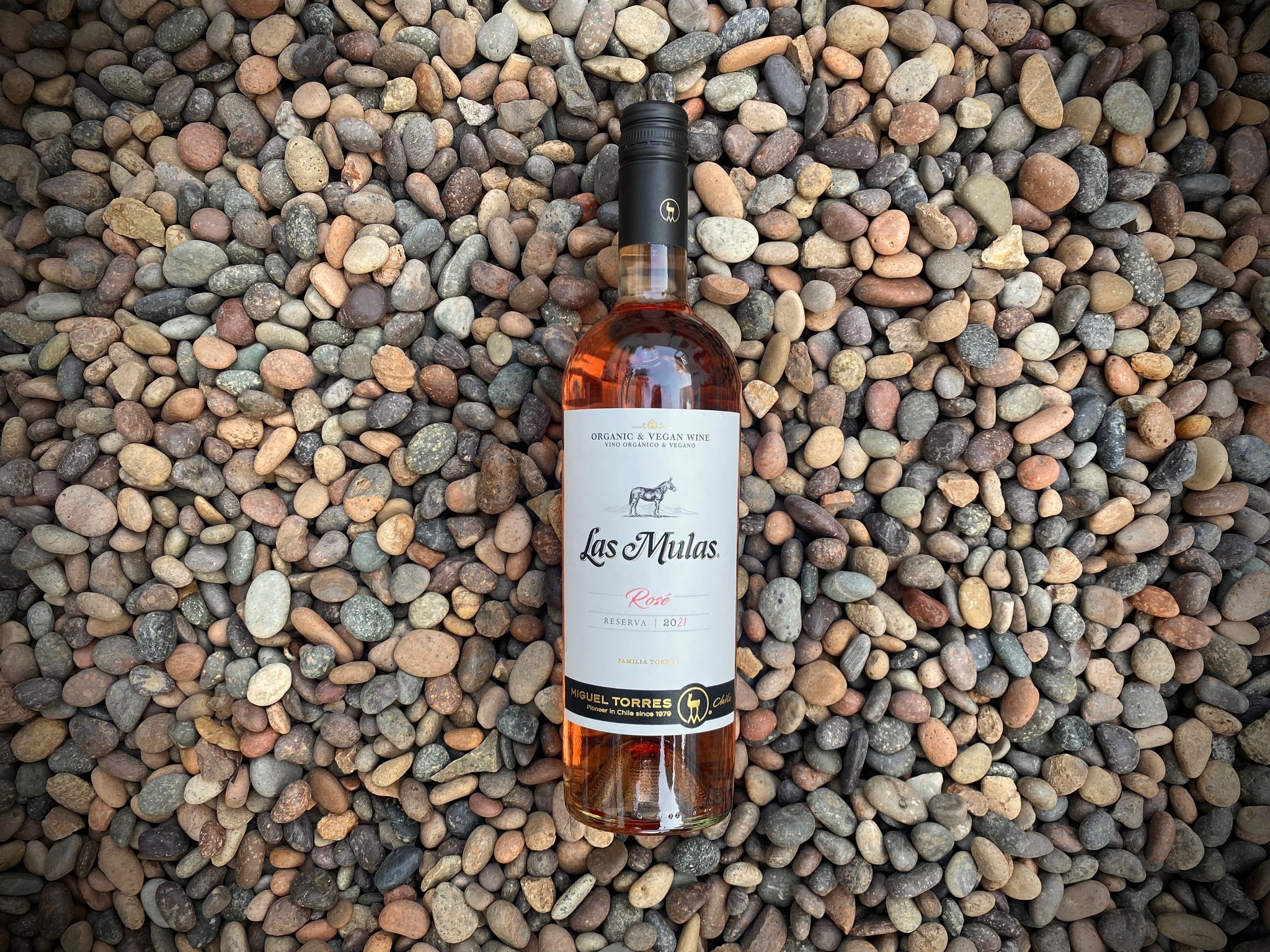 Rosé; Miguel Torres, Las Mulas